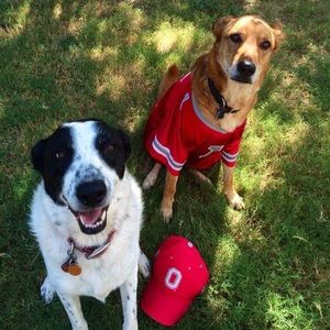 Meet your Posher, Deborah